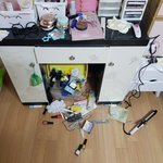 [고양이] <b>보배</b>가왔어요!