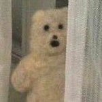 [댓글부탁해] 칼하트 <b>후집</b> 많이크냐