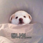ㅇㅒ두라 <b>후집</b> ㅊㅜ천 해줘