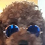 [방탄소년단] 근데 홀리 <b>성별</b>