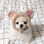 [드루와] 사람 <b>앞날</b> 모른다는거 진짜 ㄹㅇ인듯