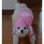 탕수육<b>냠냠</b>