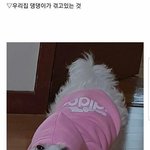 (60년뒤•••)판녀야 우리집이 왜이리 부잔지 알아?