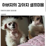 [댓글부탁해] 글 자를때 이유좀 영자 무수리것아(<b>뜻</b>=수리<b>X</b>)