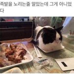 [댓글부탁해] <b>섀도우</b> 팔레트 추천해주면 용돈 많이 받음