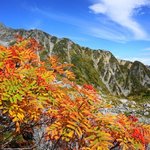 [꼭봐주세요] 이게뭐<b>시여</b>