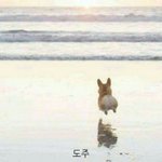 [드루와] 내 짝남 여자 많은 거겠지,,,, 포기각??