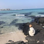 제주도 간 챙