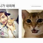 [강다니엘] 강다니엘 <b>오리</b>시리즈 중에 이거