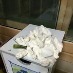 [ㅠㅠ] <b>비염</b> 환자들 현 상황..JPG