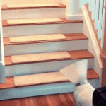[<b>귀엽</b>] 똑똑한 댕댕이.gif