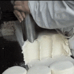 [충격] 신기한 만두피 <b>찍기</b>.gif