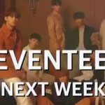 [세븐틴] 헐 방금