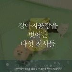 강아지공장에서 벗어나게된 <b>다섯</b>천사들에게 희망을