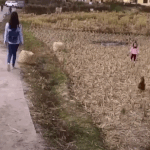 [드루와] ㅈㄴ <b>부티나</b>는 노래 없냐