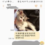 [고양이] 엄마한테 고양이 사진 좀 찍어서 보내달랬더니..
