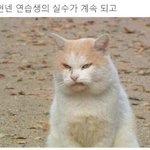 <b>쉐딩</b>잘하는애들아 좀 도와줘ㅠ