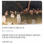 너네가 <b>이상황</b>이면 어떨것같음 추반해봐