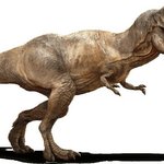 빛삭빛삭빛<b>사악</b>