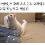 [댓글부탁해] 얘들아 ㅠ 나 <b>얼</b><b>평</b>좀 빛삭함