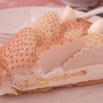 이런 사진 좋아하는 사람 있어?