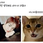 [강다니엘] <b>오리</b> 강다니엘 시리즈ㅋㅋㅋㅋㅋ