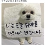 [<b>댓글</b>부탁해] 사람들이 나한테 장난치고싶대 <b>반응</b>웃기다고