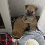 초코<b>송이</b>가 왔어요~!