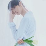 배진영 화보 개미쳤다