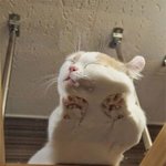민지야 자냐