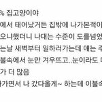[ㅋㅋㅋㅋㅋ] 싸가지없는 고양이때문에 <b>상처</b>받았다