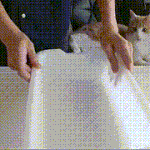 [드루와] 죽은칼 살리기.<b>gif</b> ㄷㄷ