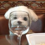 [댓글부탁해] 얘들아 너네 <b>tmi</b> 적어봐