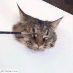 <b>구랭</b>놀쟈