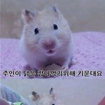 [드루와] 아시안컵 우리가 <b>우승</b> 했으면 좋겠다