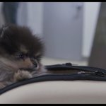 [방탄소년단] <b>김연탄</b> 최초 데뷔가 이때였다지