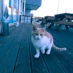 [댓글부탁해] 상메 둘중에 골라줘