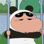 [드루와] 얘네 왜이러는지 아는사람