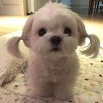 약혐)<b>불안</b>해서그런데  쌍수라인봐조ㅜㅜ