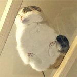 <b>외출</b>시작ㅎ