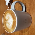 <b>맥심</b>플랜트왓당ㅎ