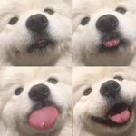 <b>숏컷</b> 하고픈데 탈코 소리 들을까 봐 못하겟음