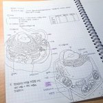 [사진ㅇ] 나 공스타<b>한당</b> ㅎㅎㅎㅎ