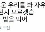 [댓글부탁해] 자유로<b>윤</b> 우리를 봐 자유로워