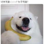 나 오늘 산부인과 갔다옴