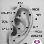 [댓글부탁해] <b>트라</b>거스랑 예쁜 조합 뭐있냥