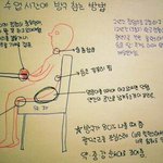 [조언부탁해] 고등학교 조카 두렵다 ㅅㅂ