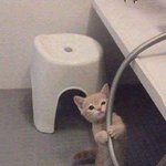 [<b>19</b>] 순수한<b>썰</b> 올리던때가 그리움ㅜㅜ