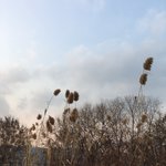 [드루와] 효과 <b>지대</b>로 본 다이어트법 좀 알려줘