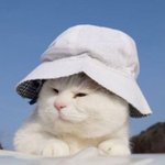 [댓글부탁해] 우리 각 팬덤끼리  예쁜말 적어<b>주자</b>